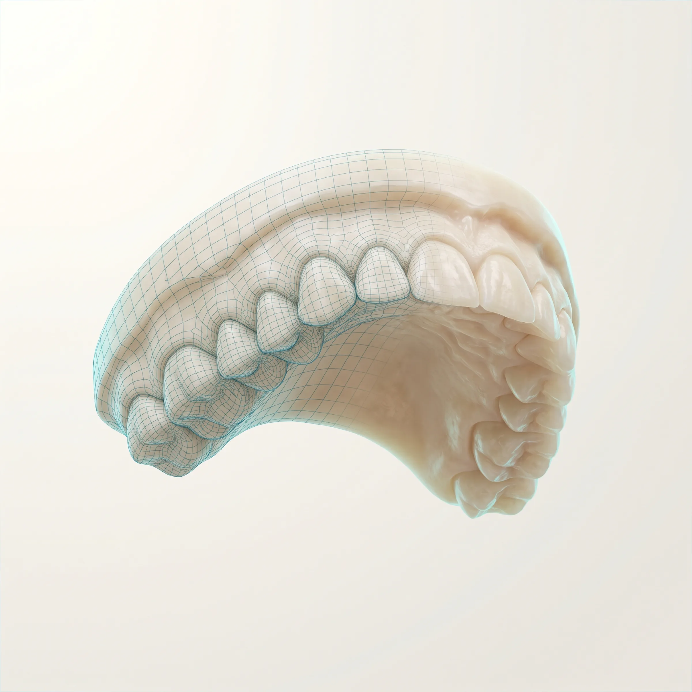 Scansione 3D delle arcate dentali — modello digitale tridimensionale